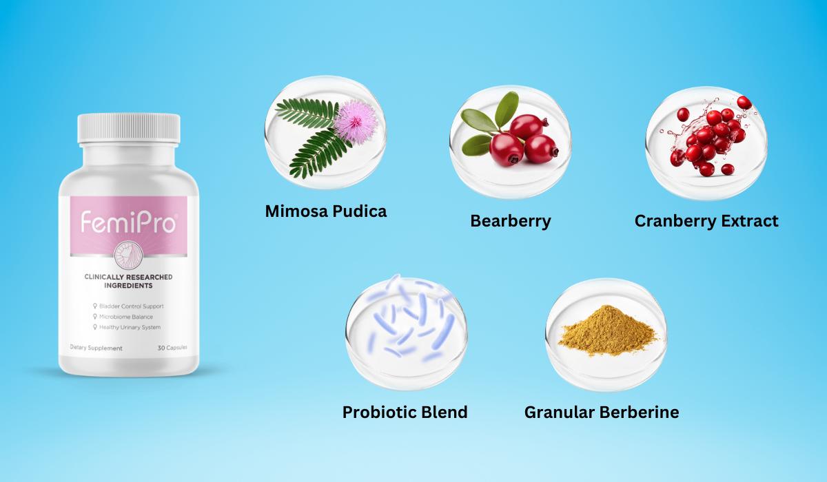 OVERACTIVE BLADDER – Why This Treatment Brings Fast Relief?,
OVERACTIVE BLADDER,
natural hormone balance supplement,
female hormone support,
female hormone pills,
female balance capsules,
pills for menopause and pms,
female hormone support,
female hormone pills,
women’s hormonal balance formula,
female balance capsules,
pills for menopause and pms,