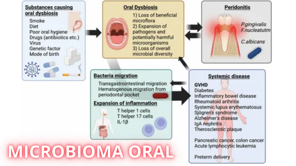 Diagrama do microbioma oral com bactérias probióticas benéficas equilibrando patógenos nocivos