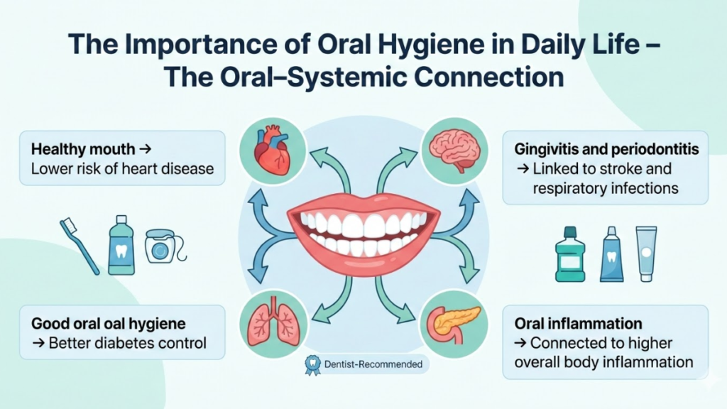 importance of oral hygiene in daily life — infographic showing connection between oral health and systemic health